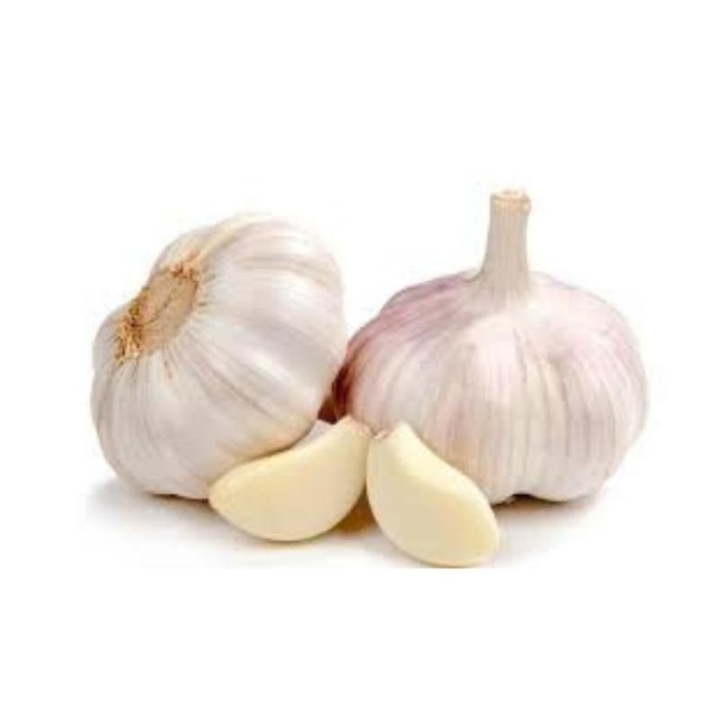 bawang putih